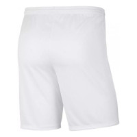 Nike Park III Kids Football Shorts White Blue
