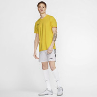 Nike Dry Park VII Voetbalshirt Geel Zwart