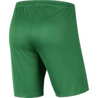 Nike Dry Park III Kids Green Football Shorts
