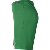 Nike Dry Park III Kids Green Football Shorts