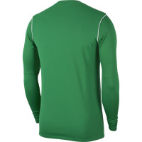 Nike Dri-FIT Park 20 Crew Kids Training sweater Green