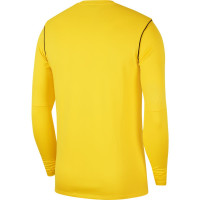 Nike Dri-FIT Park 20 Crew Kids Training sweater Yellow Black