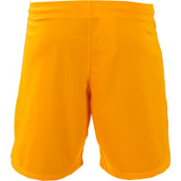 Nike Dutch Team Home Pants 2022/2024