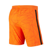 Nike Netherlands Home Football Shorts Vapor Match 2020-2022