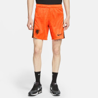 Nike Netherlands Home Football Shorts 2020-2022