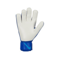 Nike Match Keepershandschoenen Blauw Lichtblauw