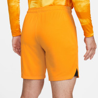 Nike Dutch Team Home Pants 2022/2024