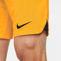 Nike Dutch Team Home Kit 2020/2024