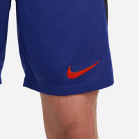 Nike Netherlands Pants 2022-2024