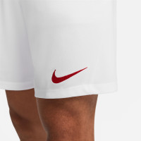 Nike Park III Voetbalbroekje Wit Rood