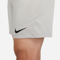 Nike Park III Voetbalbroekje Grijs Zwart