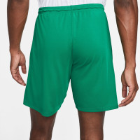 Nike Dry Park III Football Shorts Green White