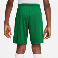 Nike Dry Park III Kids Green Football Shorts