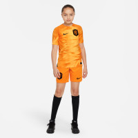 Nike Nederlands Elftal Thuisshirt 2022-2024 Kids