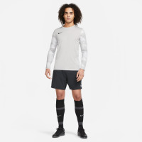 Nike Park IV Voetbalshirt Keepers Lange Mouwen Grijs Zwart