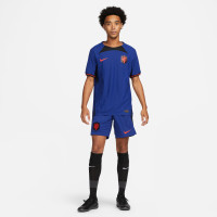 Nike Nederlands Elftal Vapor Match Uitshirt 2022-2024