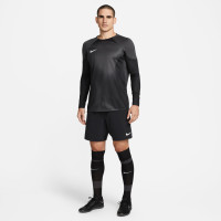 Nike Gardien IV Long Sleeve Goalkeeper Shirt Grey Black