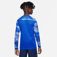 Nike Dry Park IV Goalkeeper Shirt Kids Long Sleeve Blue