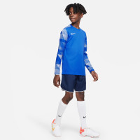 Nike Dry Park IV Goalkeeper Shirt Kids Long Sleeve Blue