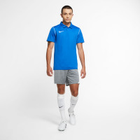 Nike Dry Park 20 Polo Royal Blauw