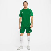 Nike Academy Dri-Fit Trainingsshirt Groen Wit