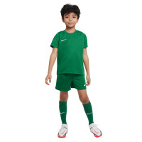 Nike DRY PARK 20 Tenue Kids Groen