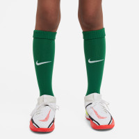 Nike DRY PARK 20 Tenue Kids Groen