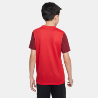 Nike Trophy V Dri-Fit Kids Training Shirt Red White