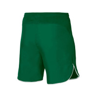 Nike Dri-FIT Kids Football Shorts Green White