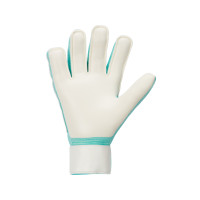 Nike Match Goalkeeper Gloves Turquoise Black Purple White