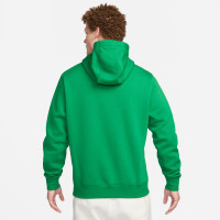 Nike Park 20 Hoodie Fleece Groen