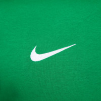 Nike Park 20 Hoodie Fleece Groen