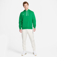 Nike Park 20 Hoodie Fleece Groen