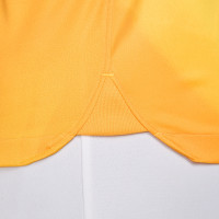 Nike Gardien IV Long Sleeve Goalkeeper Shirt Yellow Gold