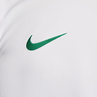 Nike Voetbalshirt Park VII Wit Groen