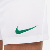 Nike Park III Voetbalbroekje Wit Groen