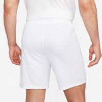 Nike Park III Voetbalbroekje Wit Blauw