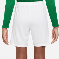 Nike Park III Kids Football Shorts White Green