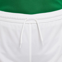 Nike Park III Kids Football Shorts White Green