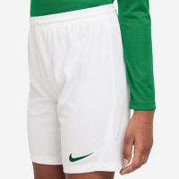 Nike Park III Kids Football Shorts White Green