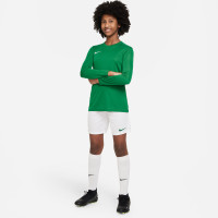 Nike Park III Kids Football Shorts White Green