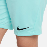 Nike Park III Dri-Fit Kids Turquoise Training Short