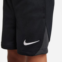 Nike Tenue Academy Pro Kleuters Zwart Grijs