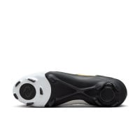 Nike Phantom Luna II Pro Gras Football Shoes (FG) Black Off-White Gold