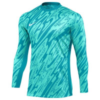 Nike Gardien V Long Sleeve Goalkeeper Shirt Turquoise White