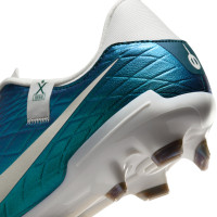 Nike Tiempo Legend 10 Academy Grass/Artificial Grass Football Shoes (MG) Emerald Green White