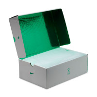 Nike Tiempo Legend 10 Elite Kunstgras Voetbalschoenen (AG) Smaragdgroen Wit