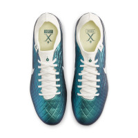 Nike Tiempo Legend 10 Pro Gras Football Shoes (FG) Emerald Green White