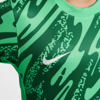 Nike Dutch Team Long Sleeve Goalkeeper Kit 2024-2026 Kids Green