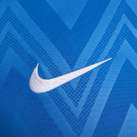 Nike Challenge V Voetbalshirt Blauw